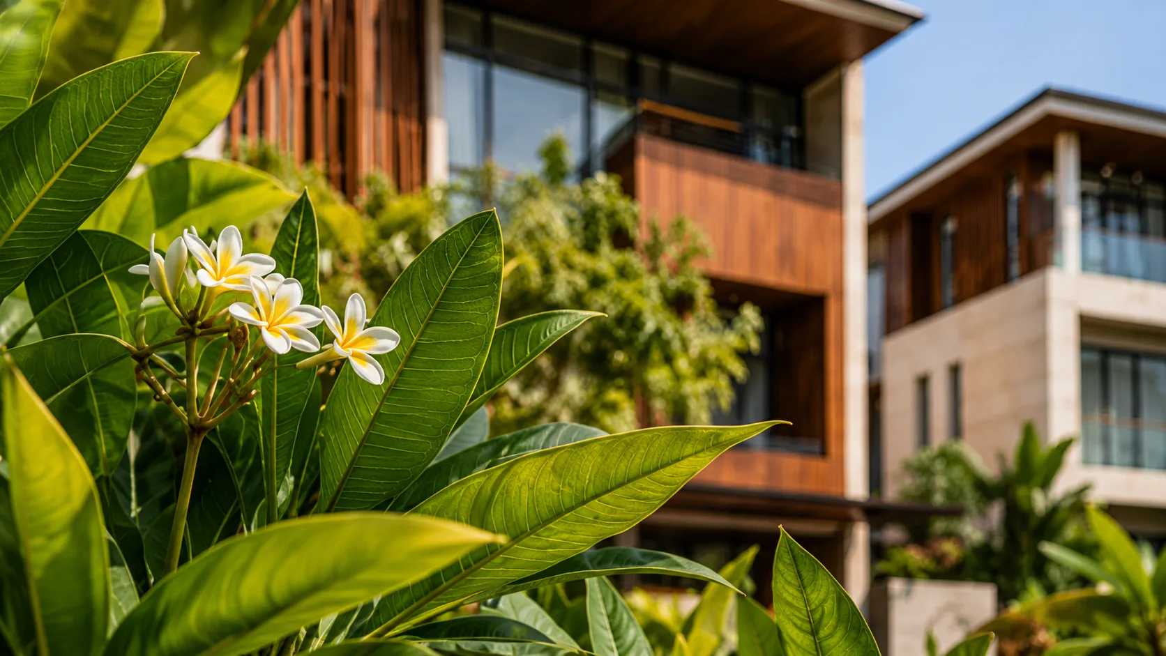 Mr Duy Tropical Villa